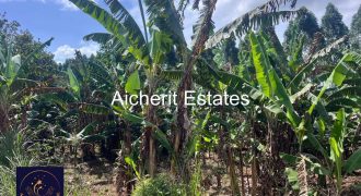 Plots in Mukono-Kituza Road Along Katosi Road